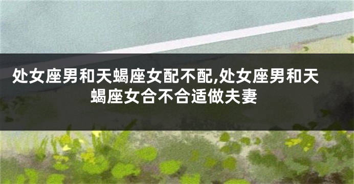 处女座男和天蝎座女配不配,处女座男和天蝎座女合不合适做夫妻