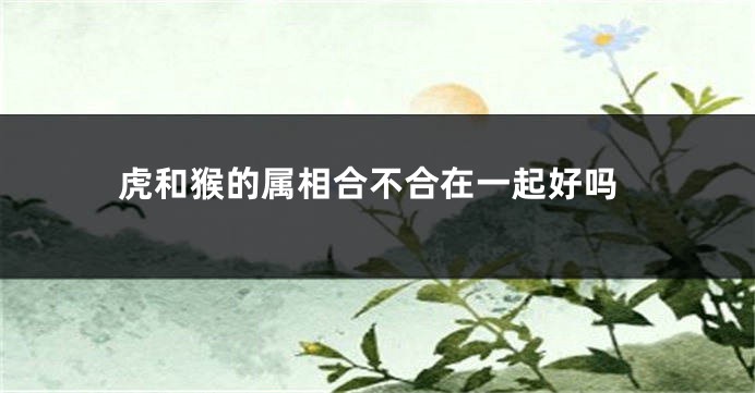 虎和猴的属相合不合在一起好吗