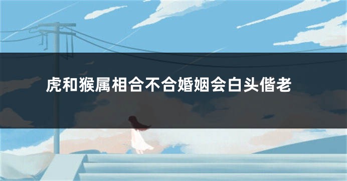 虎和猴属相合不合婚姻会白头偕老