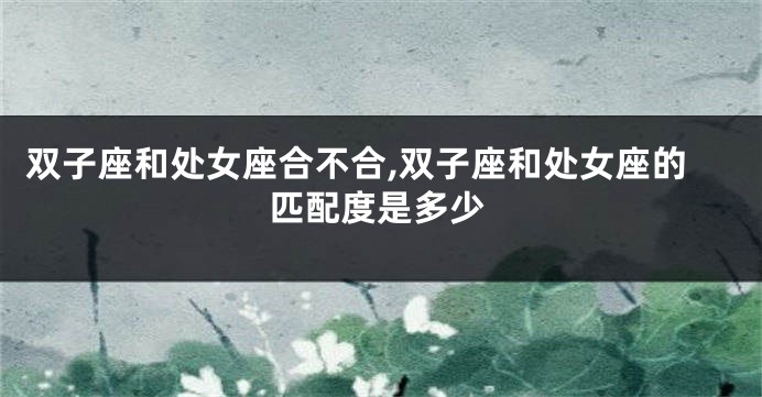 双子座和处女座合不合,双子座和处女座的匹配度是多少