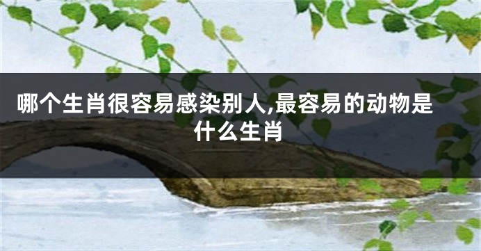 哪个生肖很容易感染别人,最容易的动物是什么生肖