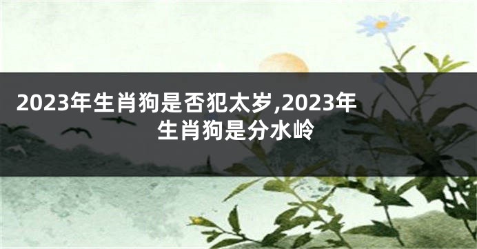 2023年生肖狗是否犯太岁,2023年生肖狗是分水岭