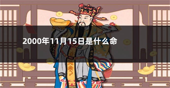 2000年11月15日是什么命