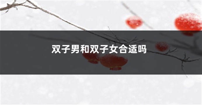 双子男和双子女合适吗