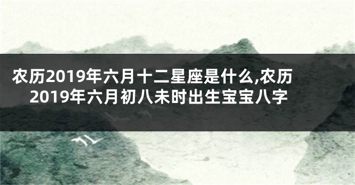 农历2019年六月十二星座是什么,农历2019年六月初八未时出生宝宝八字