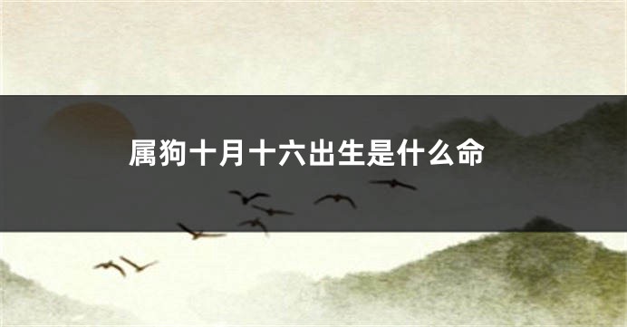 属狗十月十六出生是什么命