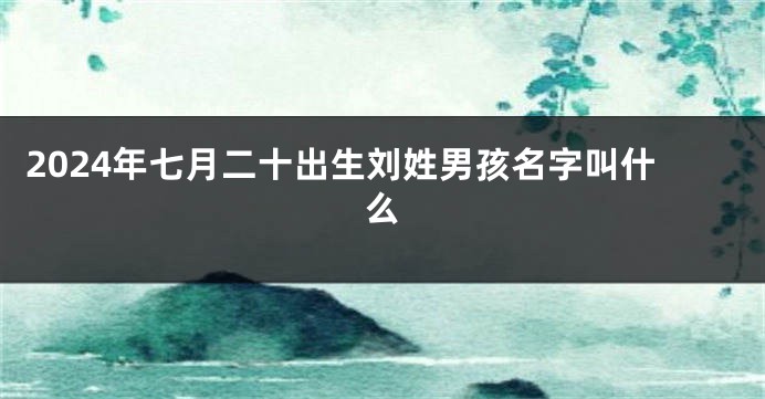 2024年七月二十出生刘姓男孩名字叫什么