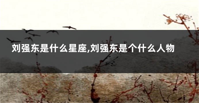 刘强东是什么星座,刘强东是个什么人物