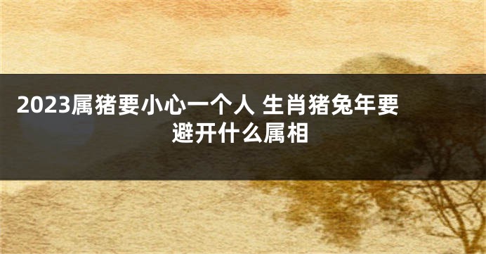 2023属猪要小心一个人 生肖猪兔年要避开什么属相