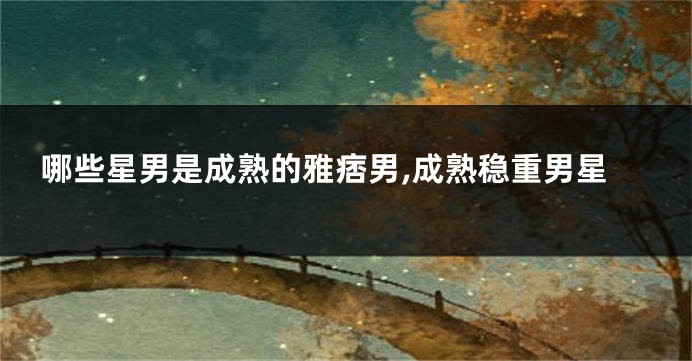 哪些星男是成熟的雅痞男,成熟稳重男星