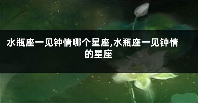水瓶座一见钟情哪个星座,水瓶座一见钟情的星座