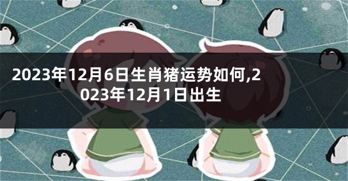 2023年12月6日生肖猪运势如何,2023年12月1日出生