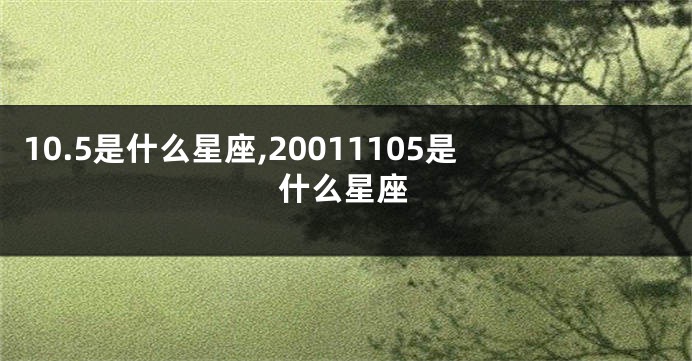 10.5是什么星座,20011105是什么星座