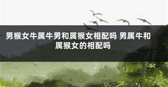 男猴女牛属牛男和属猴女相配吗 男属牛和属猴女的相配吗