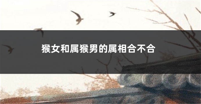 猴女和属猴男的属相合不合