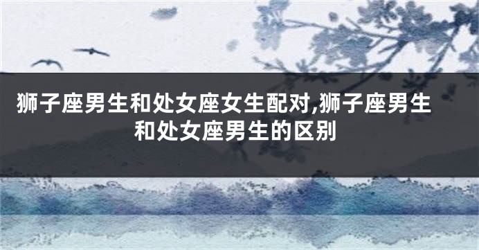 狮子座男生和处女座女生配对,狮子座男生和处女座男生的区别