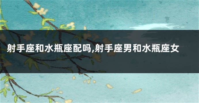 射手座和水瓶座配吗,射手座男和水瓶座女
