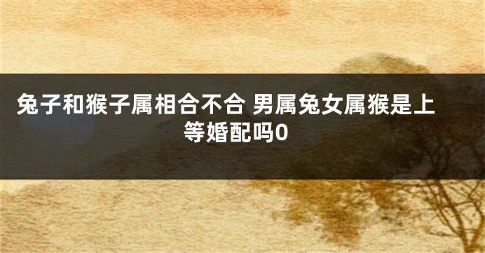 兔子和猴子属相合不合 男属兔女属猴是上等婚配吗0
