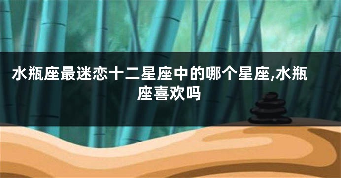 水瓶座最迷恋十二星座中的哪个星座,水瓶座喜欢吗