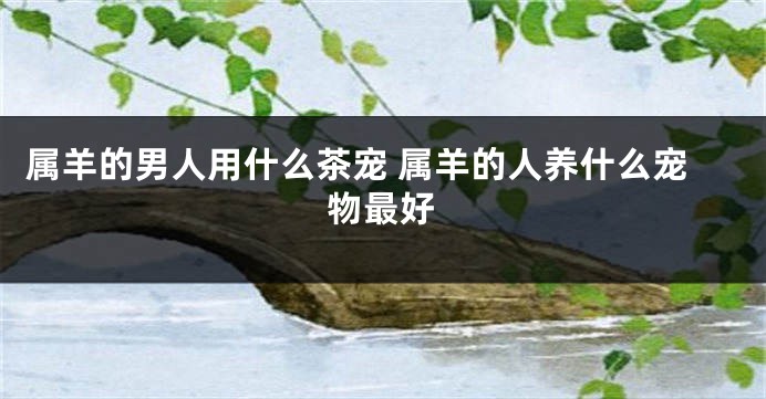 属羊的男人用什么茶宠 属羊的人养什么宠物最好