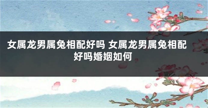 女属龙男属兔相配好吗 女属龙男属兔相配好吗婚姻如何