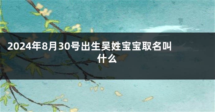 2024年8月30号出生吴姓宝宝取名叫什么