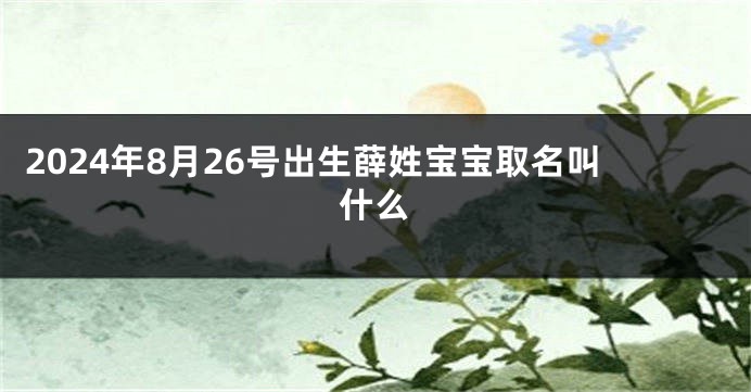 2024年8月26号出生薛姓宝宝取名叫什么