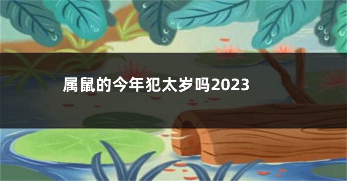 属鼠的今年犯太岁吗2023