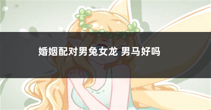 婚姻配对男兔女龙 男马好吗
