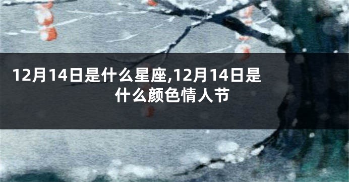 12月14日是什么星座,12月14日是什么颜色情人节