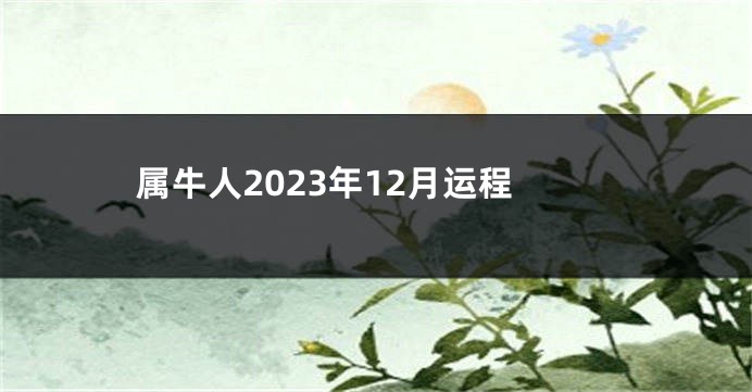 属牛人2023年12月运程