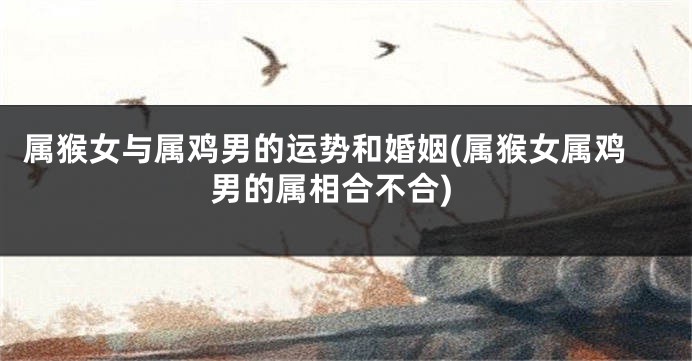 属猴女与属鸡男的运势和婚姻(属猴女属鸡男的属相合不合)