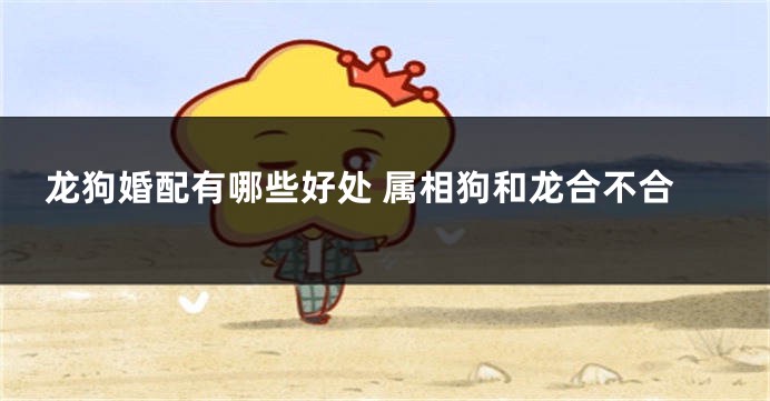 龙狗婚配有哪些好处 属相狗和龙合不合