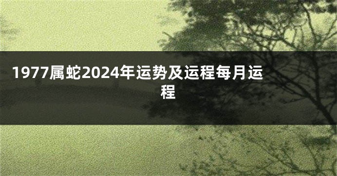 1977属蛇2024年运势及运程每月运程