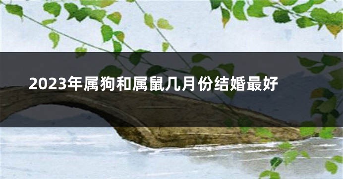 2023年属狗和属鼠几月份结婚最好