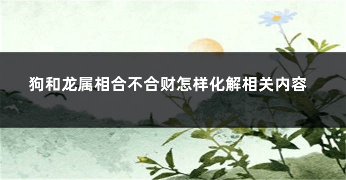狗和龙属相合不合财怎样化解相关内容