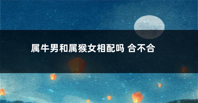 属牛男和属猴女相配吗 合不合
