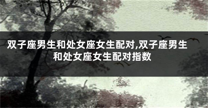 双子座男生和处女座女生配对,双子座男生和处女座女生配对指数