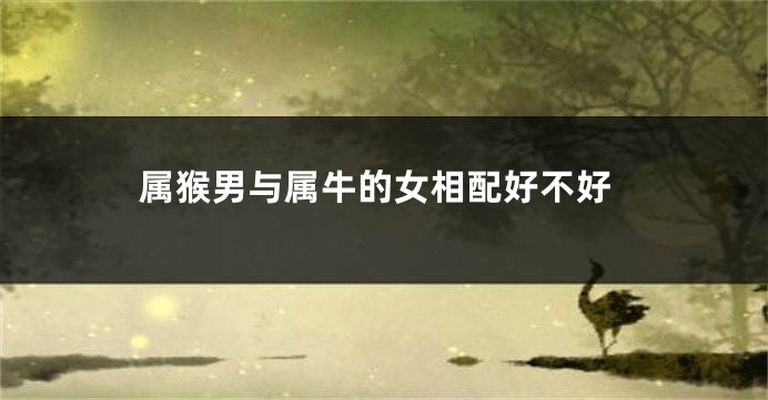 属猴男与属牛的女相配好不好