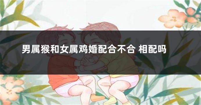 男属猴和女属鸡婚配合不合 相配吗