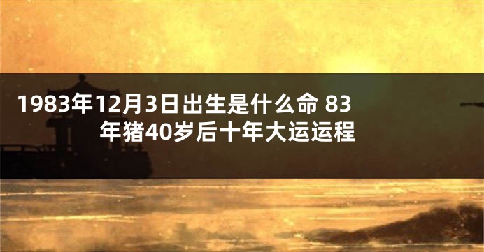 1983年12月3日出生是什么命 83年猪40岁后十年大运运程