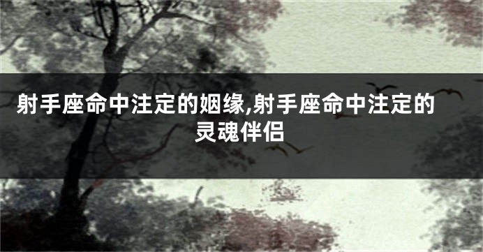 射手座命中注定的姻缘,射手座命中注定的灵魂伴侣