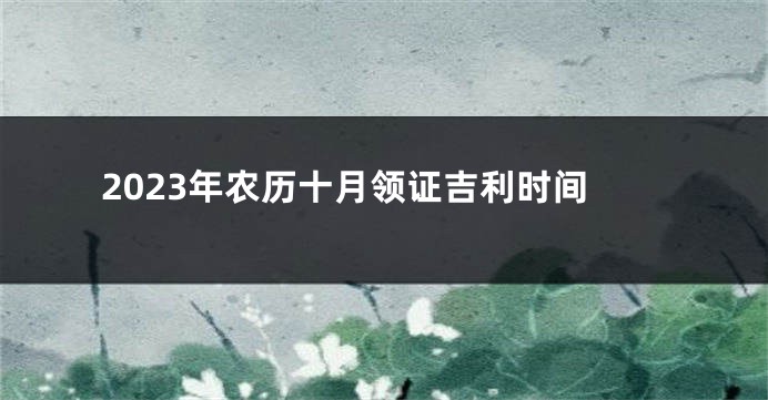 2023年农历十月领证吉利时间
