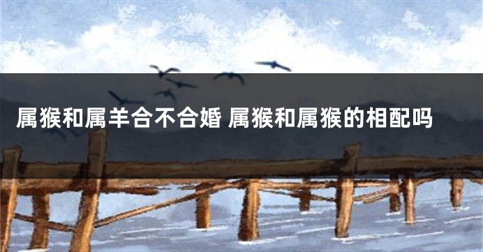 属猴和属羊合不合婚 属猴和属猴的相配吗