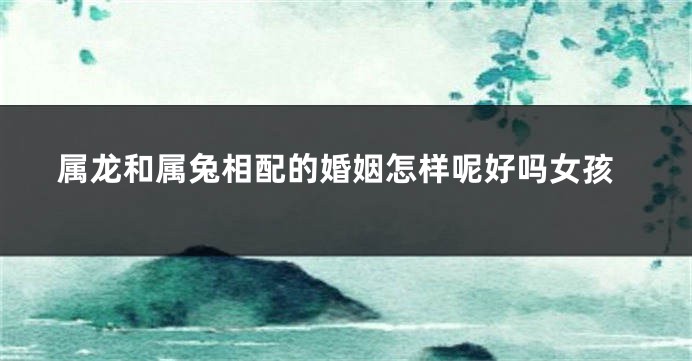属龙和属兔相配的婚姻怎样呢好吗女孩