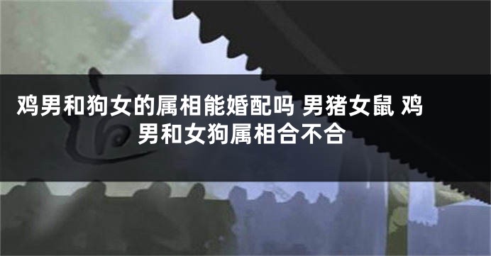 鸡男和狗女的属相能婚配吗 男猪女鼠 鸡男和女狗属相合不合