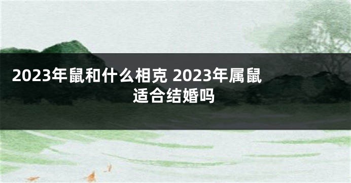 2023年鼠和什么相克 2023年属鼠适合结婚吗