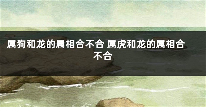 属狗和龙的属相合不合 属虎和龙的属相合不合