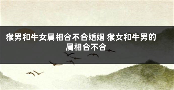 猴男和牛女属相合不合婚姻 猴女和牛男的属相合不合