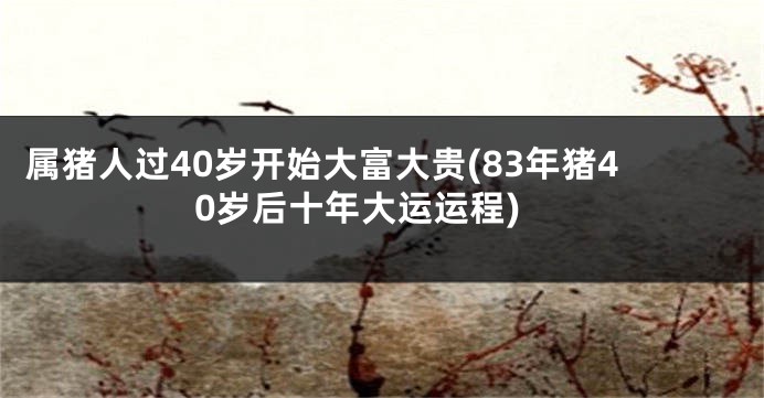 属猪人过40岁开始大富大贵(83年猪40岁后十年大运运程)